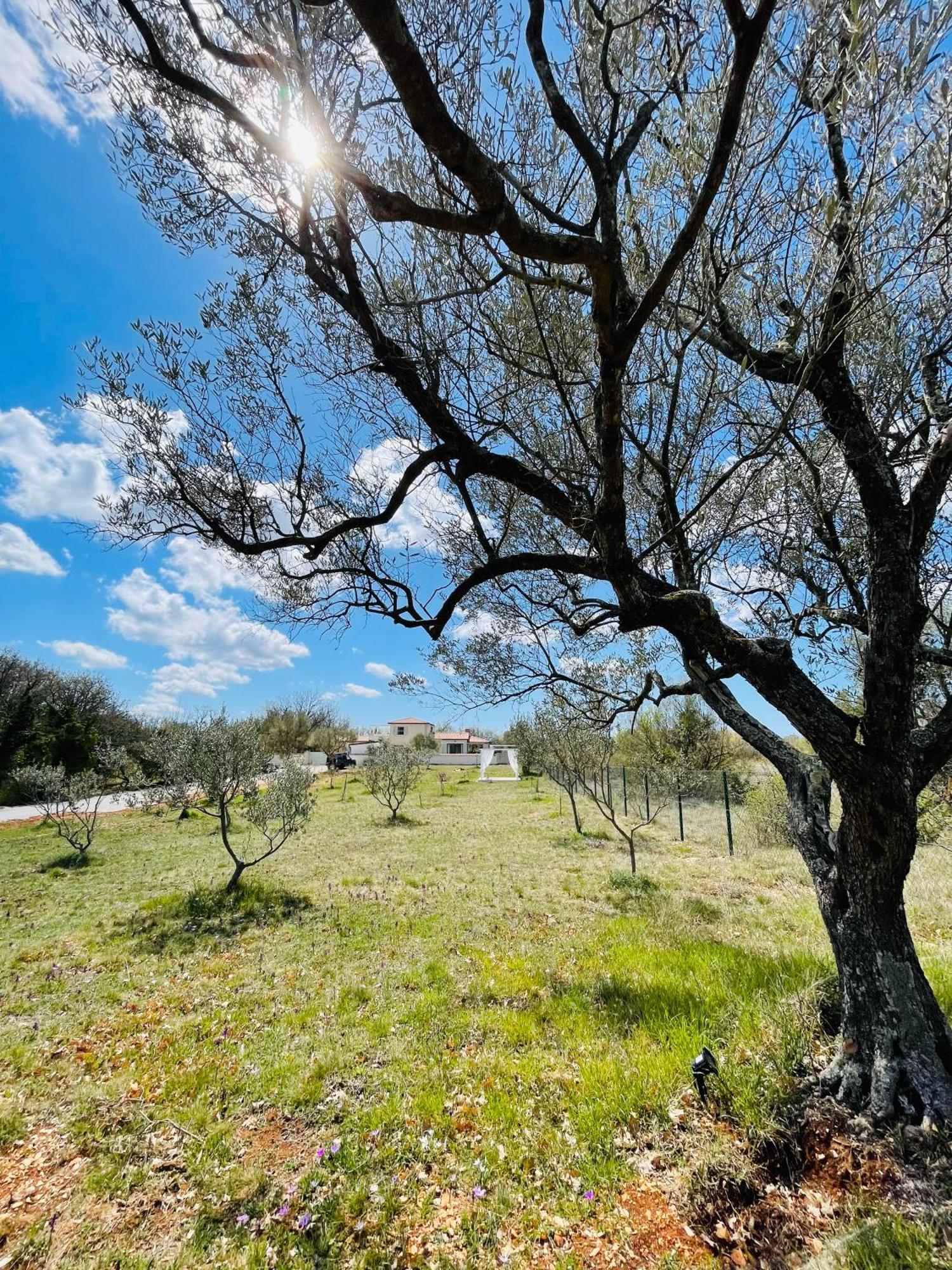 Luxury Villa In Istria - 9,000 Sqm Private Estate With Pool & Sauna, 15 Min To Sea, Near Fazana, 3 Bedrooms Jursici ภายนอก รูปภาพ