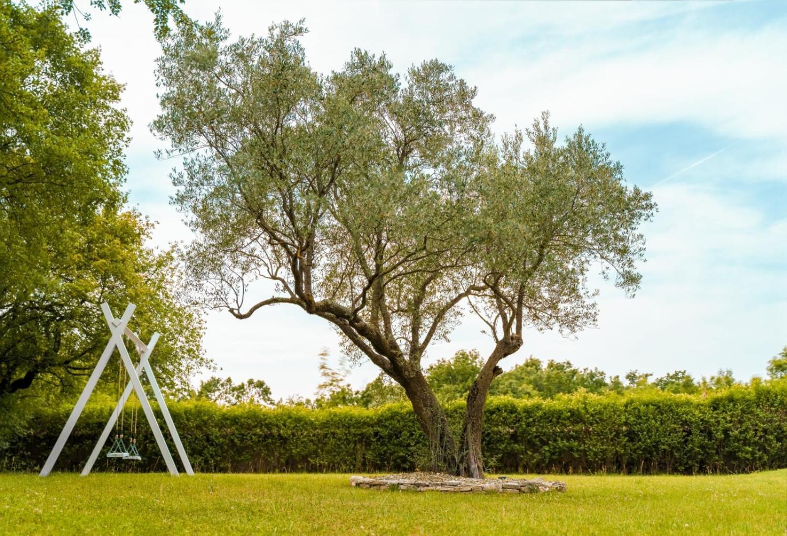 Luxury Villa In Istria - 9,000 Sqm Private Estate With Pool & Sauna, 15 Min To Sea, Near Fazana, 3 Bedrooms Jursici ภายนอก รูปภาพ
